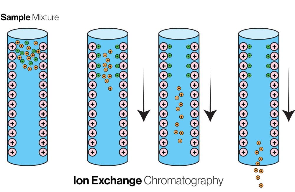 Ion exchange as a purification system